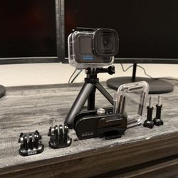 Go Pro 10 Generation 