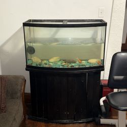 Fish Tank And Stand