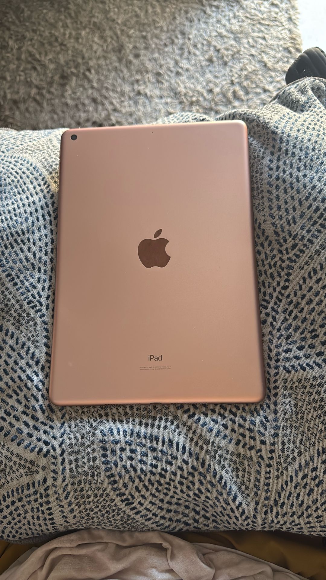 iPad