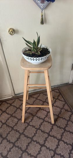 Plant with wooden stands both for $25
