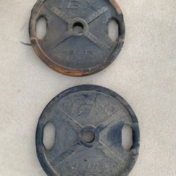 45lb Rubber Olympic Weight Plate Set 