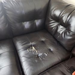 Free Sectional Couches