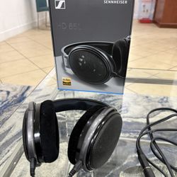 Audífonos Profesionales Sennheiser HD 650