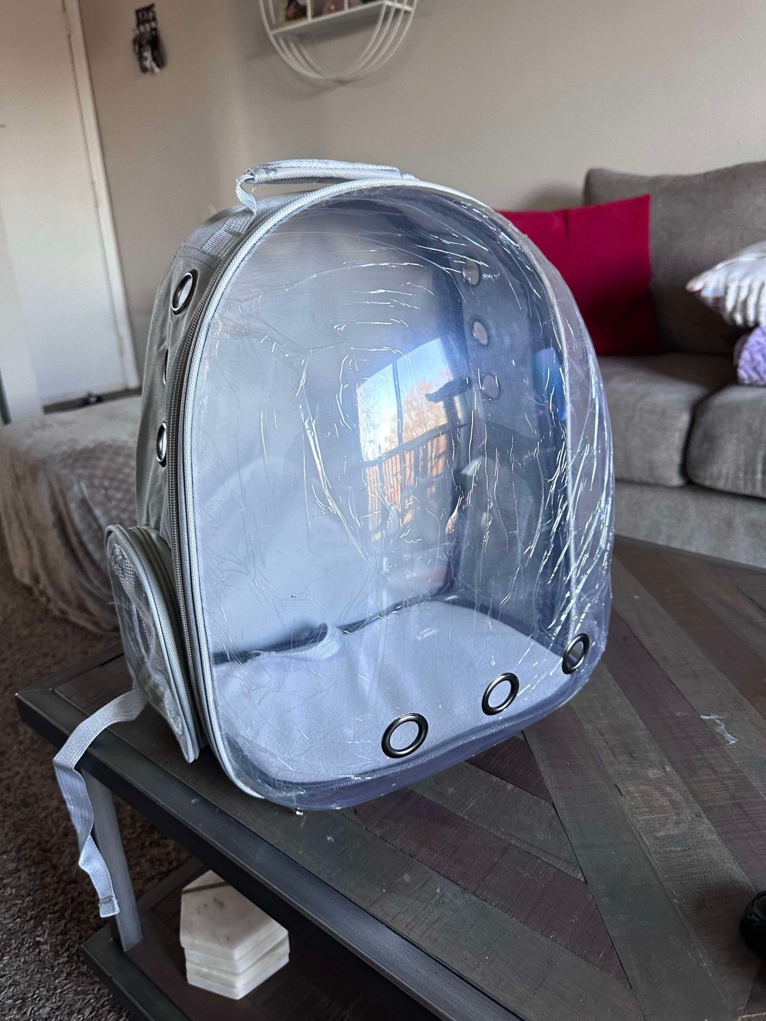 Pet Carrier Backpack 