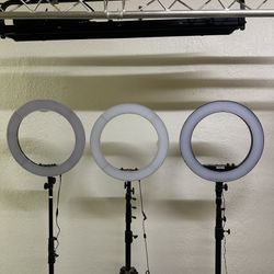 19in LED Ring Light x 3