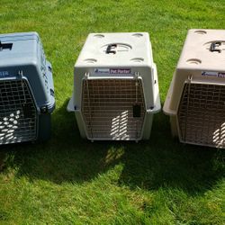 Dog Kennel, Carrier