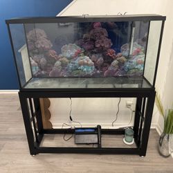 55’gal Fish Tank & Stand !!! CASH ONLY !!!