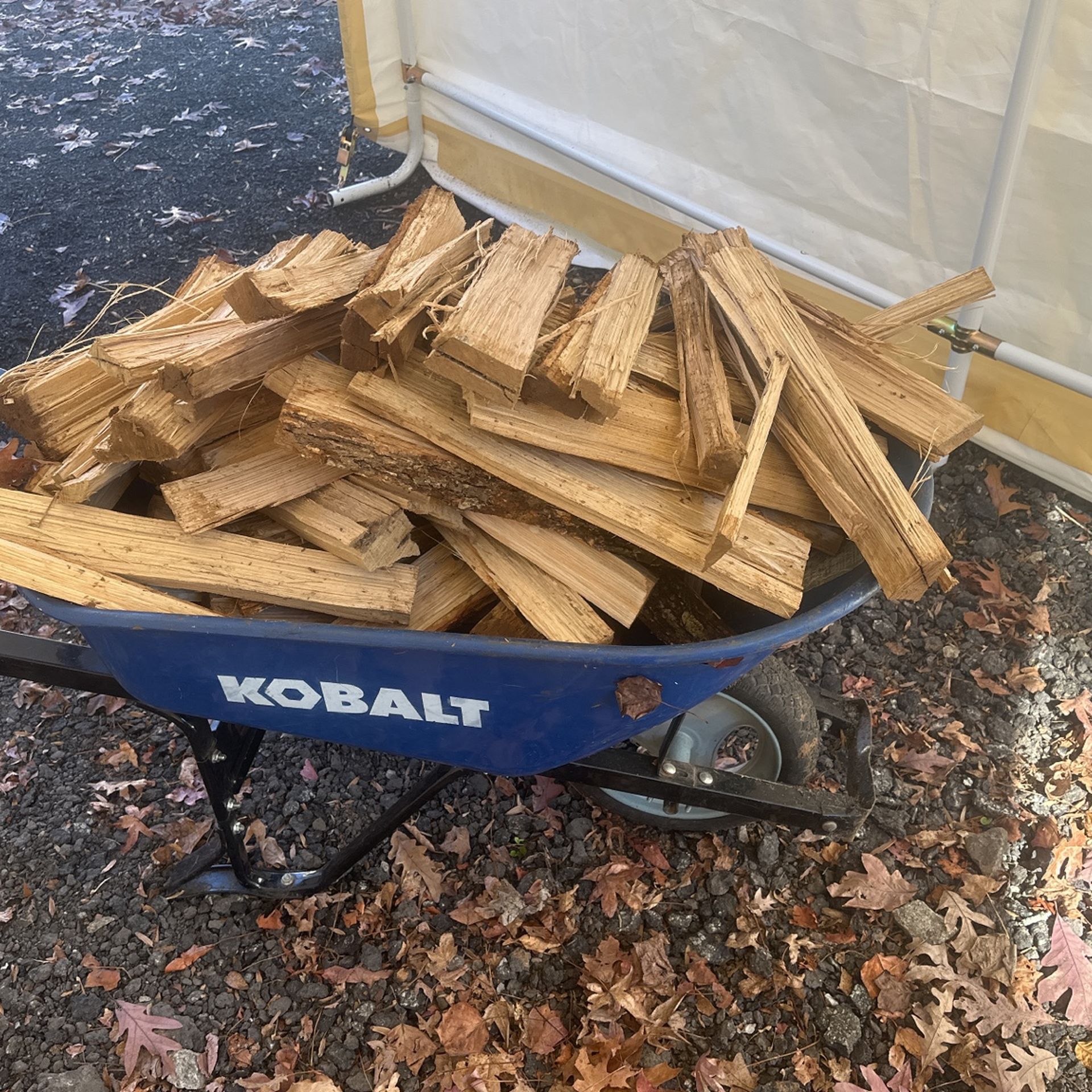 Fresh Good Fire Wood 