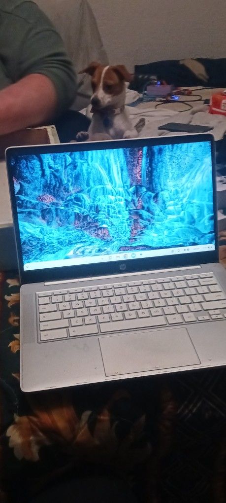 Hp Chromebook Laptop