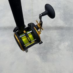 Penn Squal Fishing Rod