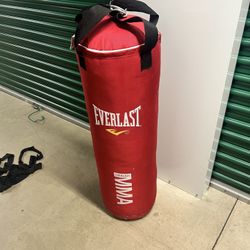 Everlast 70lb Heavy bag 