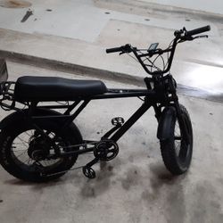 750w 40mph 40ah Ebike