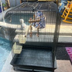 Bird Cage