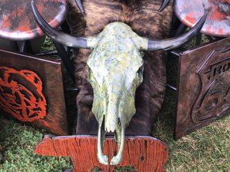 Cow Skull 