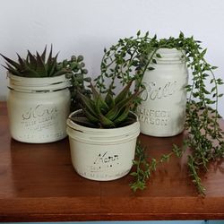 Faux Succulents In Shabby Chic Mason Jars