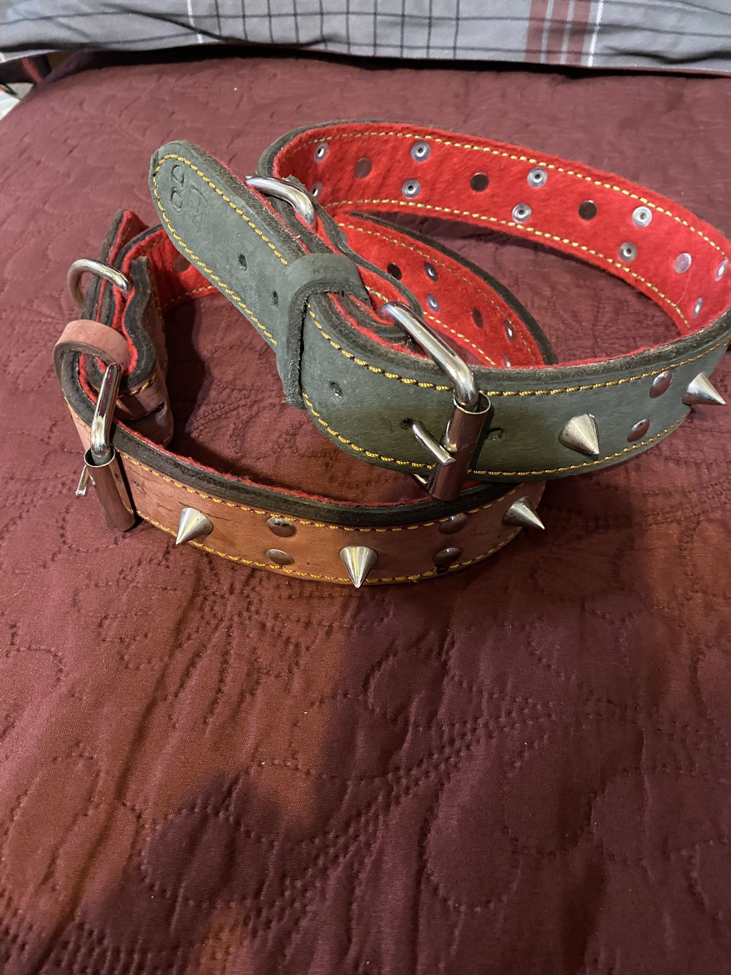 Genuine, Leather Dog Collar, And leather vest