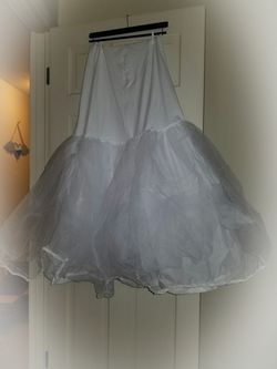 Petticoat and bustier