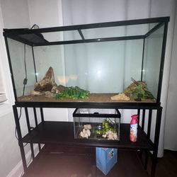55 Gallon Fish tank/terrarium