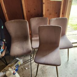 Dinning Chairs 