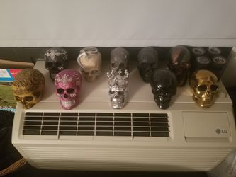 Skull collection