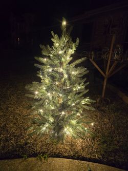(2) like new 3 ft twinkle prelit Christmas trees READ INFO