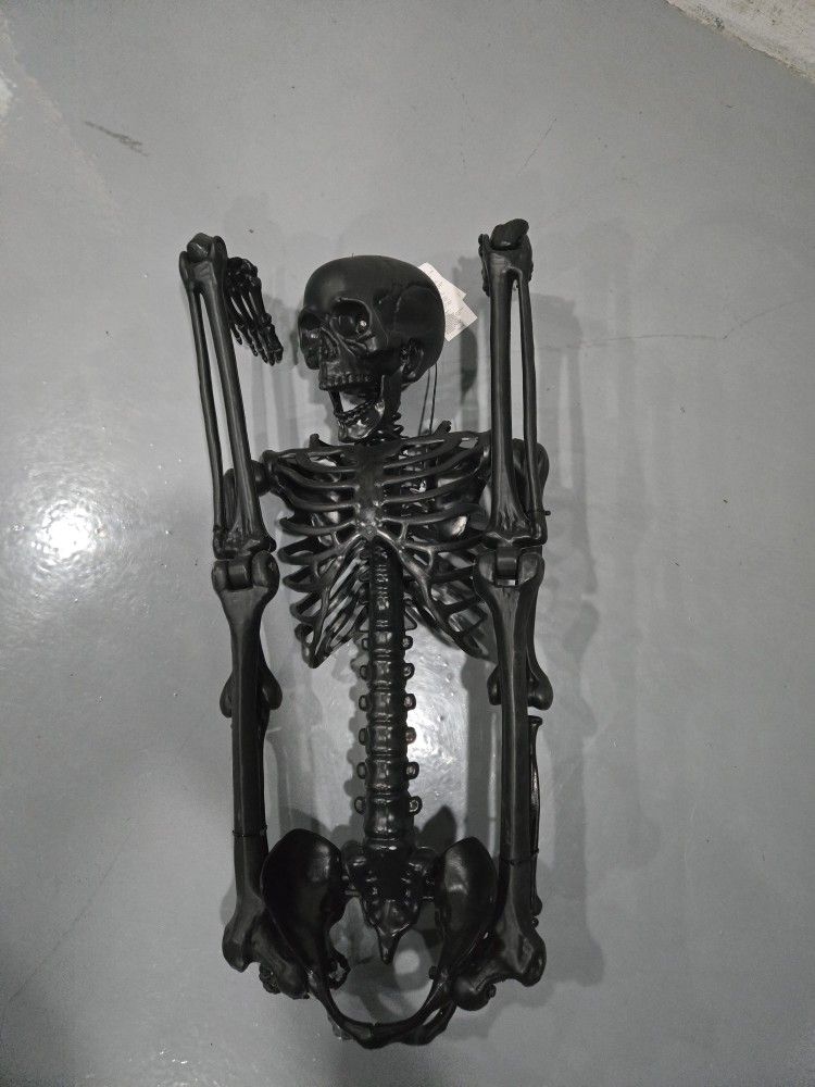 Skeleton Eyes Light Up