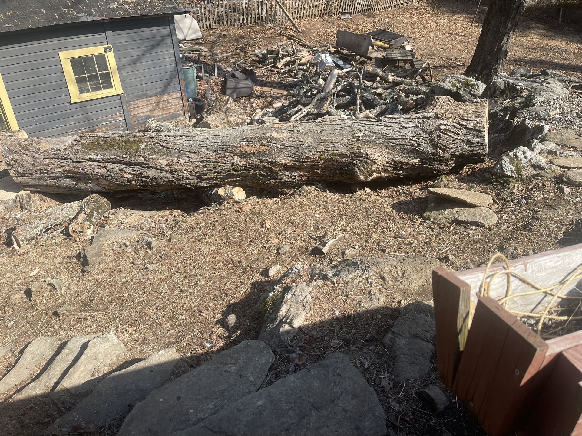 Free Wood