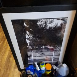 Framed Picture 