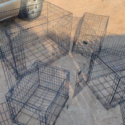 Dog Kennels 