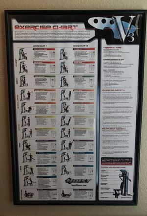 Hoist V3 Exercise Chart