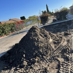 FREE DELIVERY DIRT ORANGE ONLY