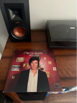 Butch Walker Sycamore Meadows Vinyl