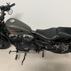 2019 Harley Sportster Forty-Eight  for sale.