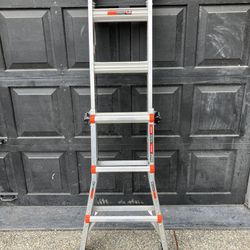 Little Faint Multi 13 Foot Ladder