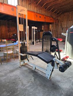 Bodymaster circuit master prone leg curl commercial gym equipment exercise fitness prone leg curl