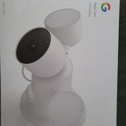 Google Nest Spot Light Cameras