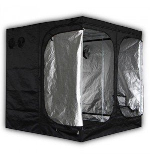 6x6 grow tent