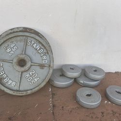 Two 45 lb Barbell Plates + Two 10 lb Easy Bar Plates + Four 5 lb Easy Bar Plates