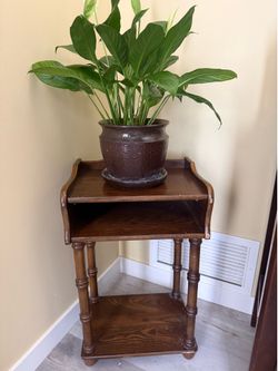 Beautiful Peace Lilly Plant with Wood Plant Stand