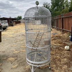 Bird Cage 