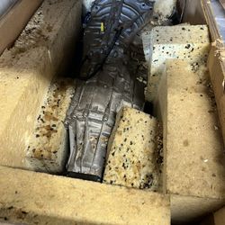 2010 Audi S5 Transmission