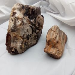 Petrified Wood
