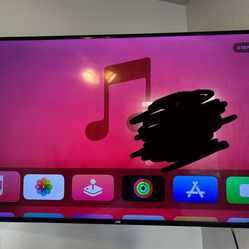48” TV with Apple TV
