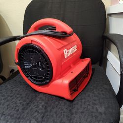 Bauer Blower  & Ryobi  18v Leaf Blower 