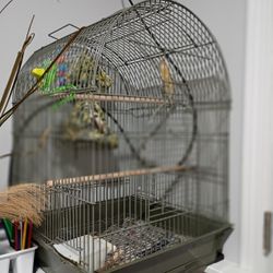 Cage for Small Birds