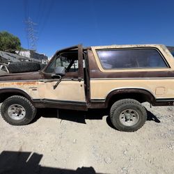 Ford Bronco Bull Nose 