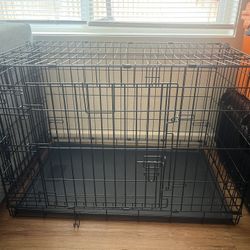 Dog kennel 