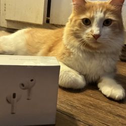 AIRPOD PROS GEN 3 (CAT NOT INCLUDED)