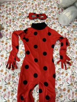 Lady Bug Costume 