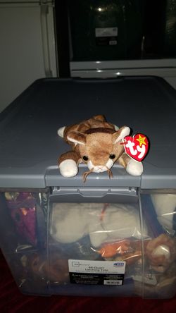 TY Beanie Babies Original "Pounce"